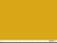 colourlovers.com Tropi