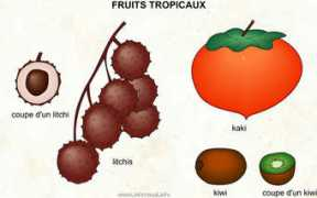 Tropicales