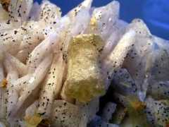 justminerals.de Tropper