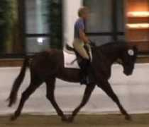 Trot