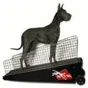 mascotas.bligoo.com Trotador