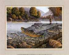 allposters.com.mx Trucha