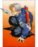 theseventhdragonball.tripod.com Trunks