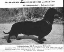musenhoehle.de Trutz
