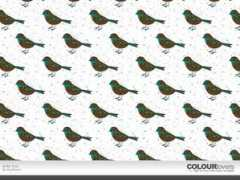 colourlovers.com Truz