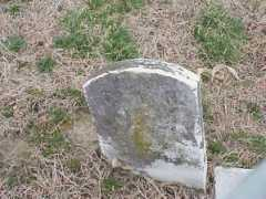 easternshorestuff.com Tryphenia