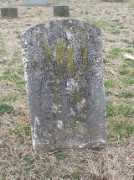 easternshorestuff.com Tryphenia