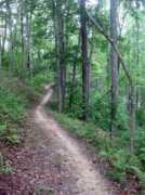 singletracks.com Tsali