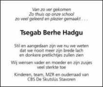 Tsegab