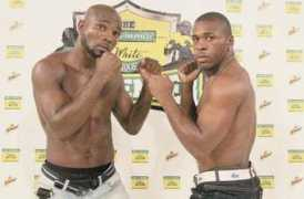 jamaicaobserver.com Tsetsi