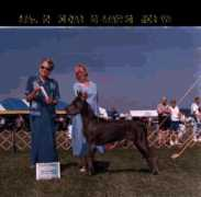 magicmanordanes.com Tshina