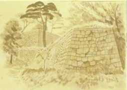 uoya.co.jp Tshiro