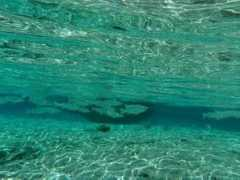 blog.mailasail.com Tshu