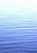 azure-holistic.co.uk Tsuboki