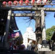 ww3.sunnyday.jp Tsuku