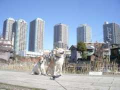 ww3.sunnyday.jp Tsuku