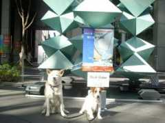 ww3.sunnyday.jp Tsuku