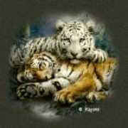 dejaelaine.com Ttiger