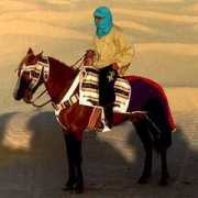 alter-cherusker.de Tuarek