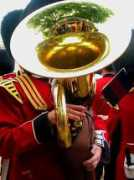 Tuba