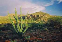realarizona.com Tubac