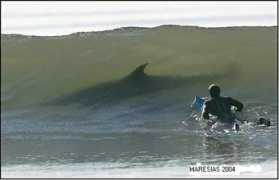 board.protecus.de Tubar