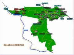 gurunet-miyazaki.com Tubati