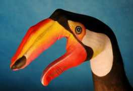 glogster.com Tucano