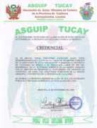 aitraveltours.com Tucay