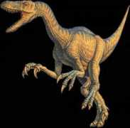 wikidino.com Tucciarone