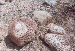 Tufa