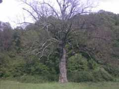Tufan