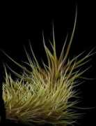 thebest3d.com Tufe