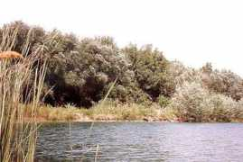 Tugai
