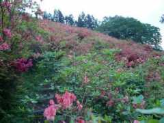 valley.ne.jp Tuhana