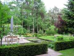 Tuin