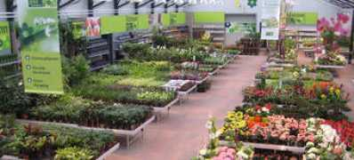 nifem.nl Tuincentrum