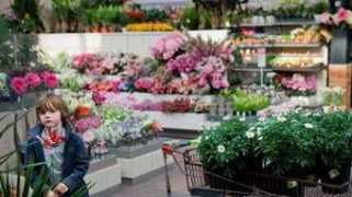 volkskrant.nl Tuincentrum