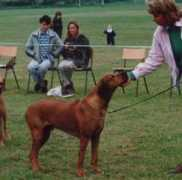 southernridgebacks.co.uk Tukela