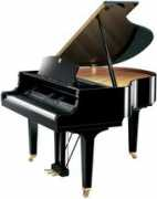majormusiccenter.com Tulesi