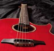 zn-guitars.com Tumenta