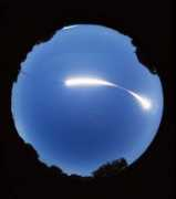 Tumino