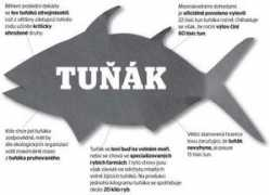 Tunak