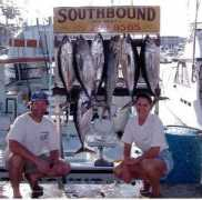 Tunas