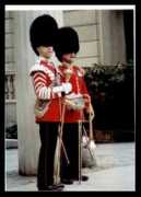 yorkshirecorpsofdrums.com Tunesi