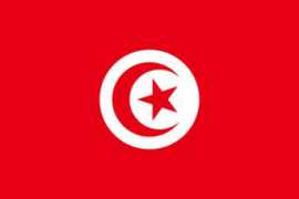 arabian-airlines.com Tunesia