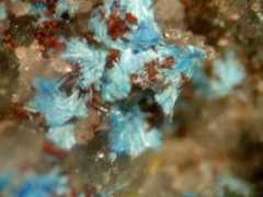 mineralatlas.com Tungui