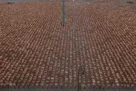 altamirano.biz Tunick