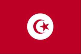 fifaworldcup.co.uk Tunisia