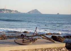 pacificsurf.info Tunitis